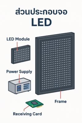 Infographic